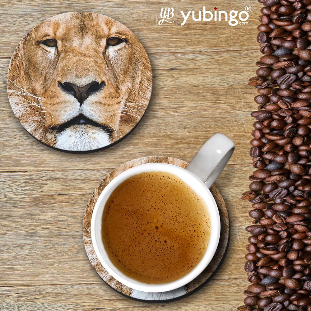 Portrait of Lion Coasters - product image 2