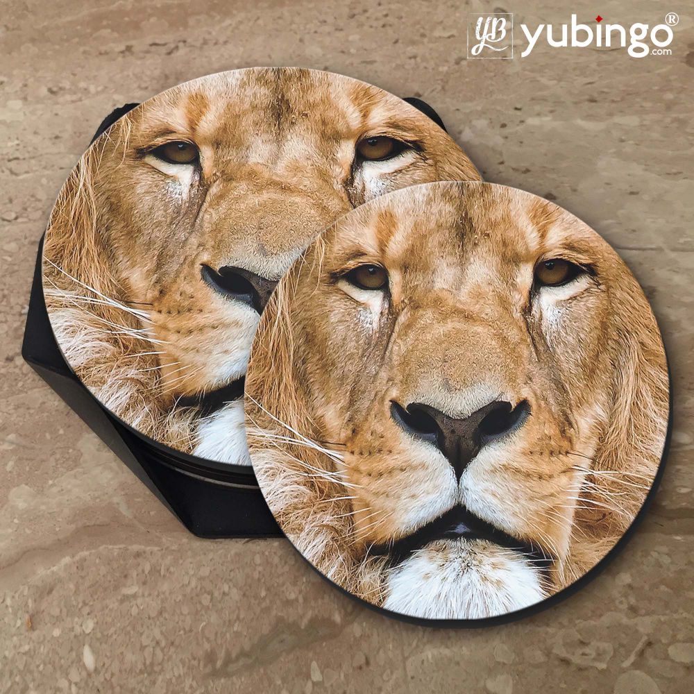 Portrait of Lion Coasters - product image 5