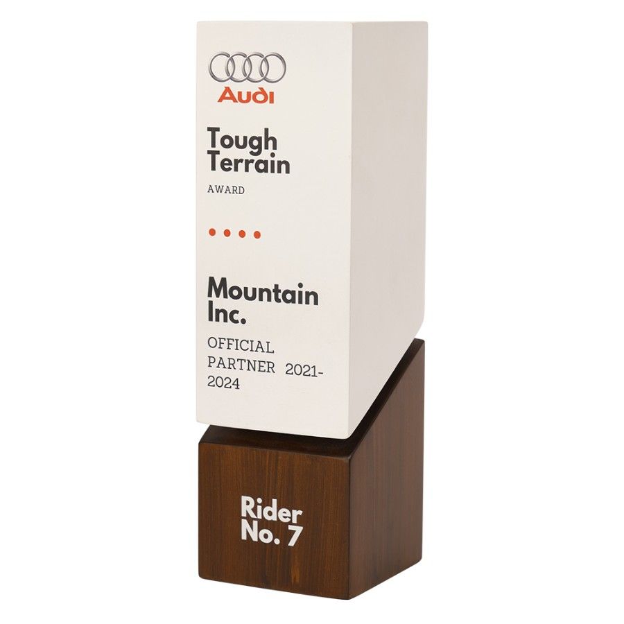 Audi Trophy - corporate gift by YuBingo
