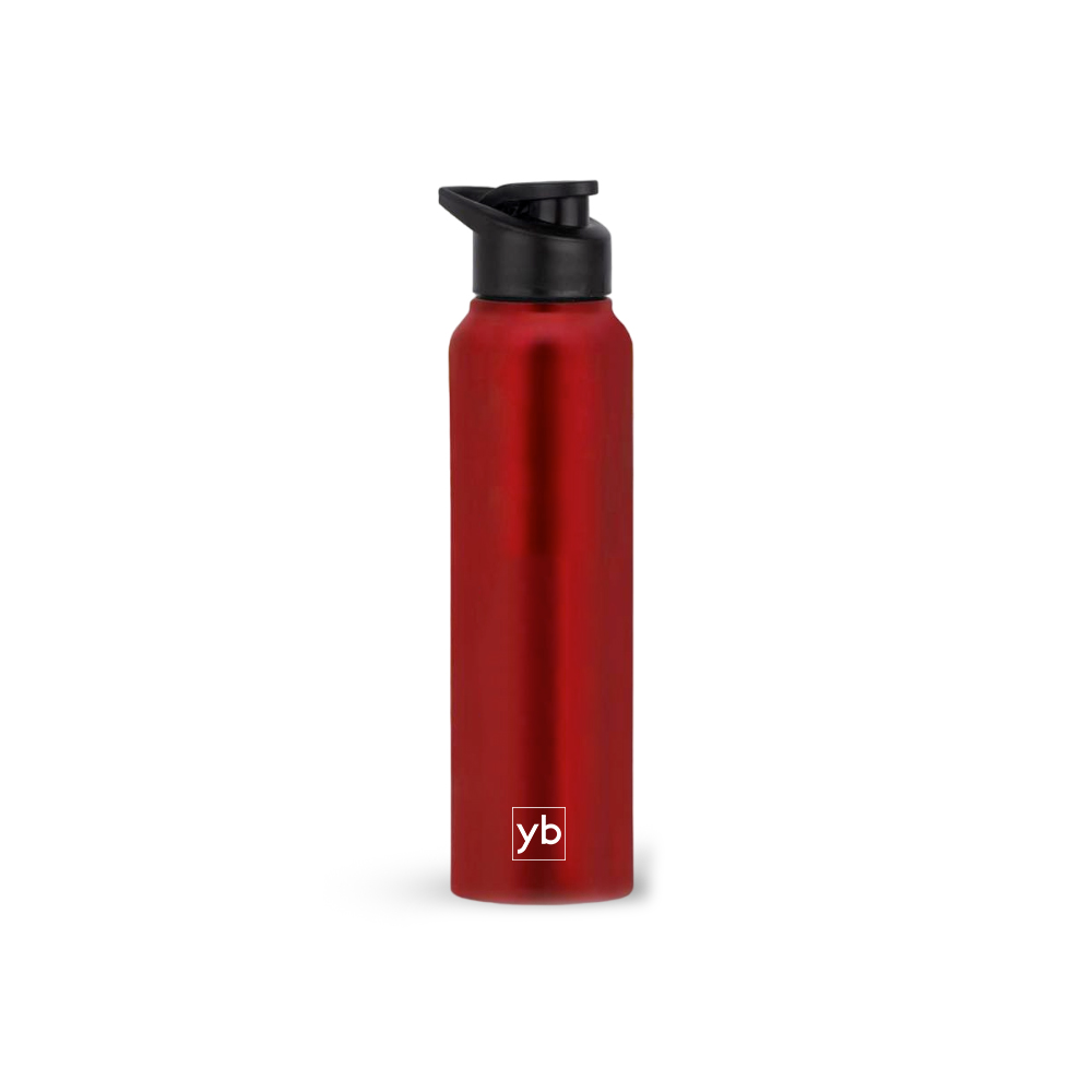 Straight Steel Bottle Colored | Capacity 1L Approx - corporate gift by YuBingo