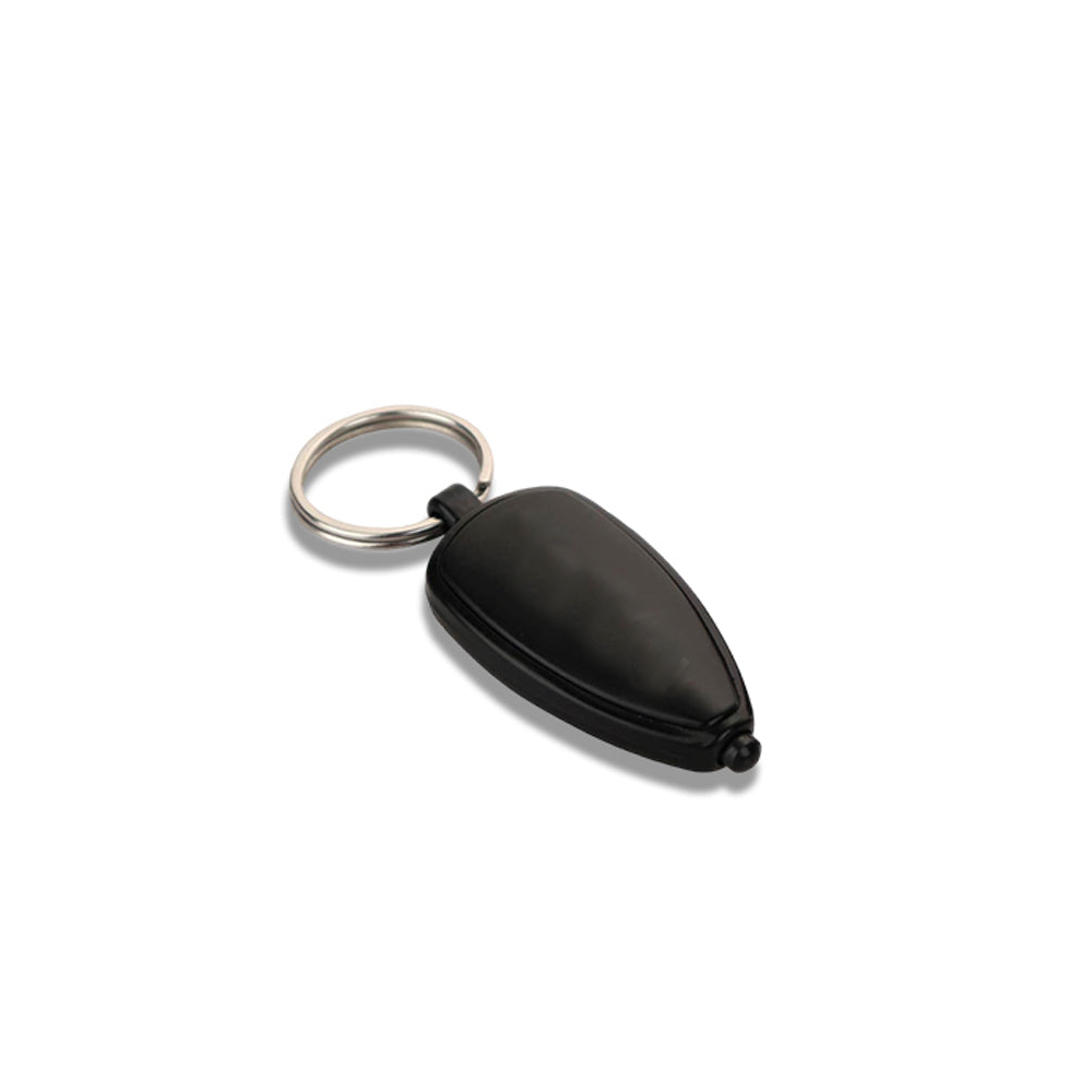 Logo Highlight Keychain with Multicolor Backlight - product image 2