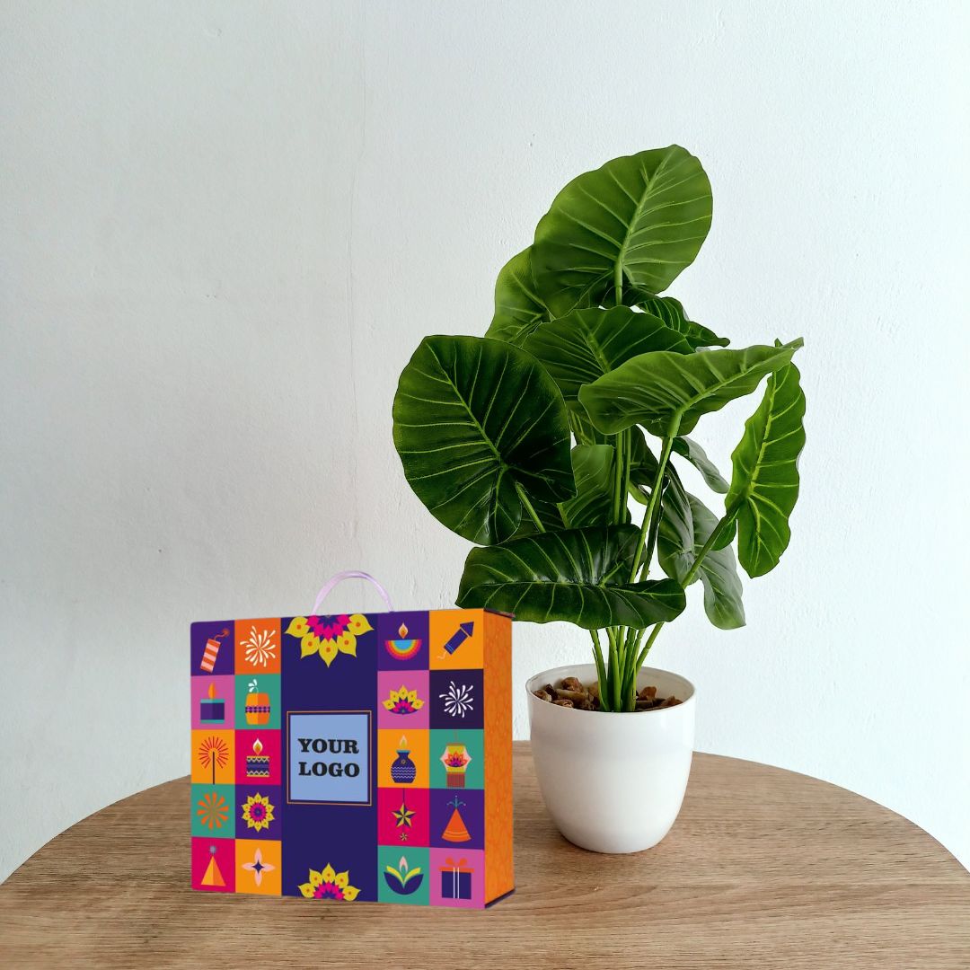Q210 - Celebration Set of 5 - product image 3